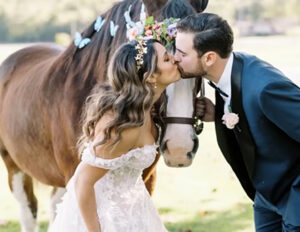 Nashville Tennessee wedding with Persian DJ